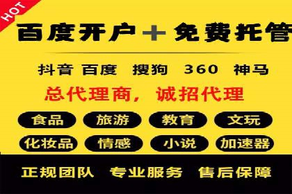 某企业利用竞价SEM提升网站流量及转化率的经验分享